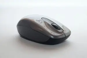 mouse