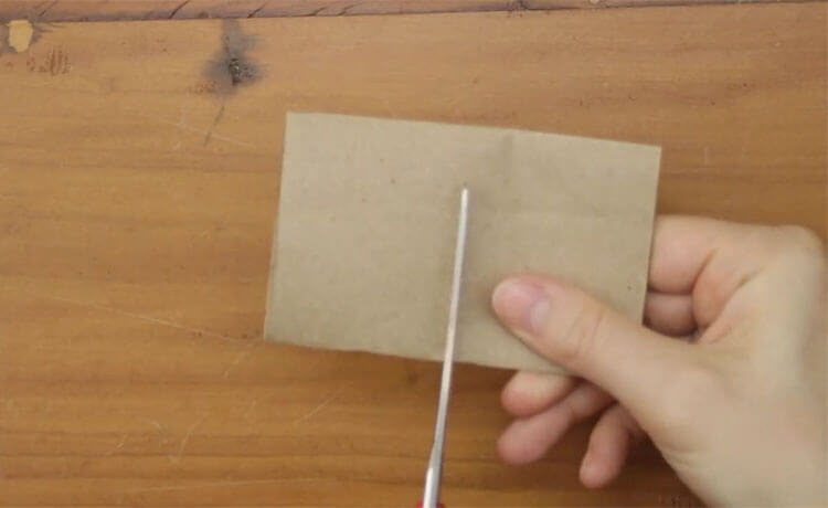 Materiais como o papelão são perfeitos para fazer uma sementeira.