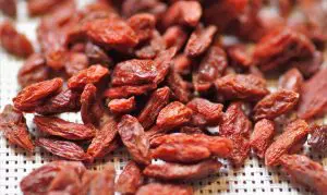 goji berry