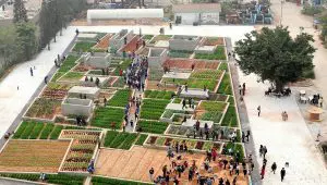 Fábrica chinesa é transformada em horta comunitária