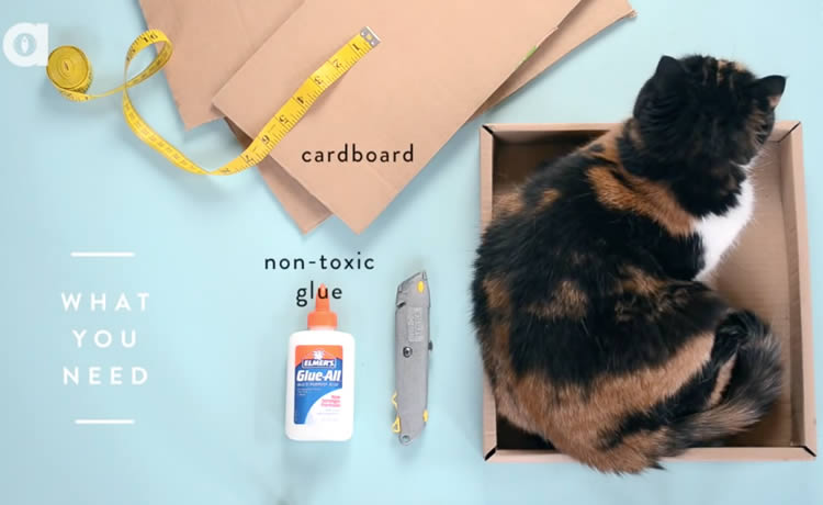 Materiais para fazer o arranhador de papelão para gatos