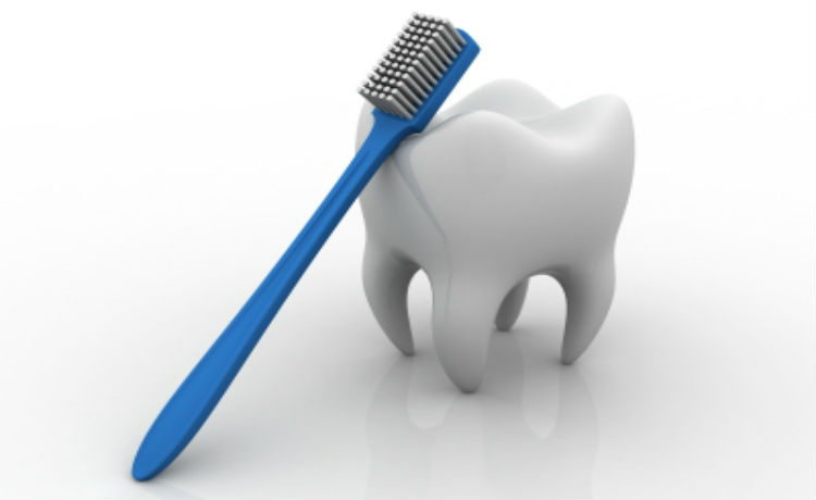 Dente e escova