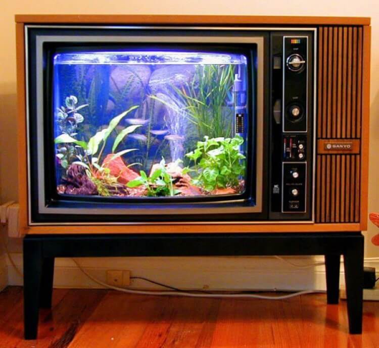 Televisão antiga transformada em aquário