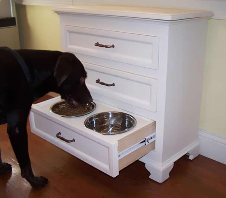 Deixe a comida e a bebida de seu cachorro fora do caminho com essa ideia
