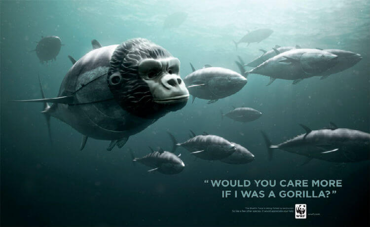 Atum: você se importaria mais se fosse um gorila?