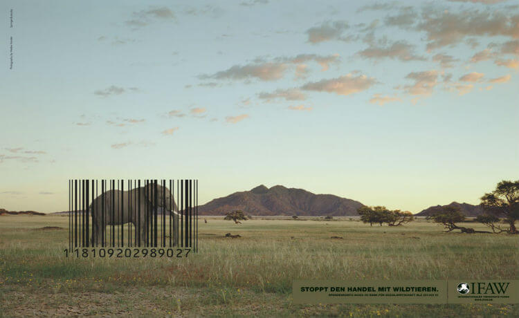 Elefante: comércio da vida animal