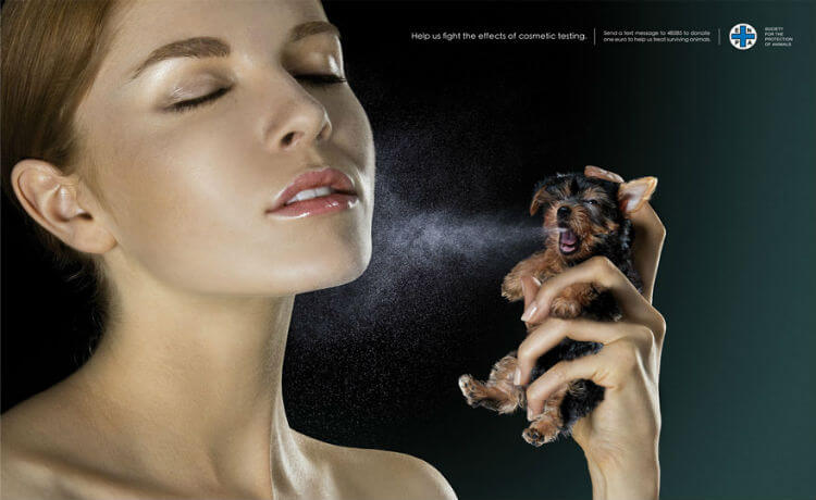 Os animais não merecem passar pelo que passamos na pele