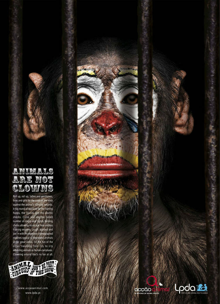Animais de circo, diga não