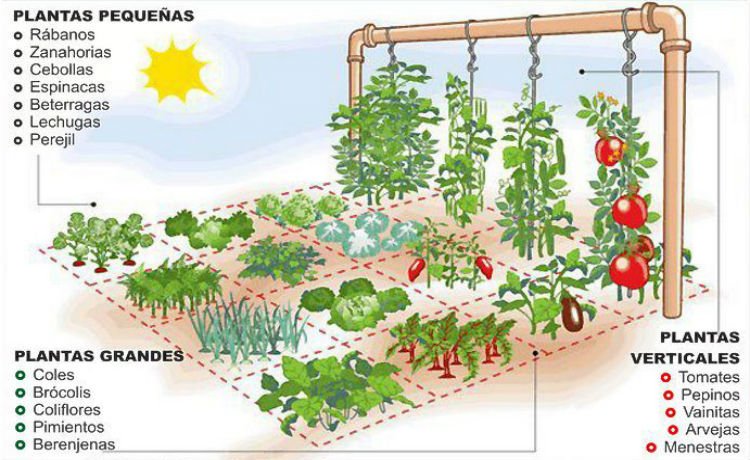 Como fazer a horta de 1 m² Como fazer a horta de 1 m²