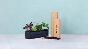 Noocity, horta em casa