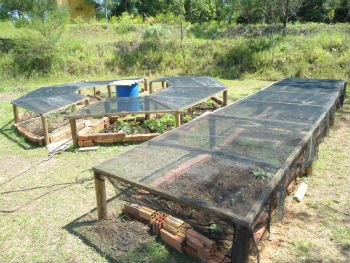 Protegendo a horta do calor