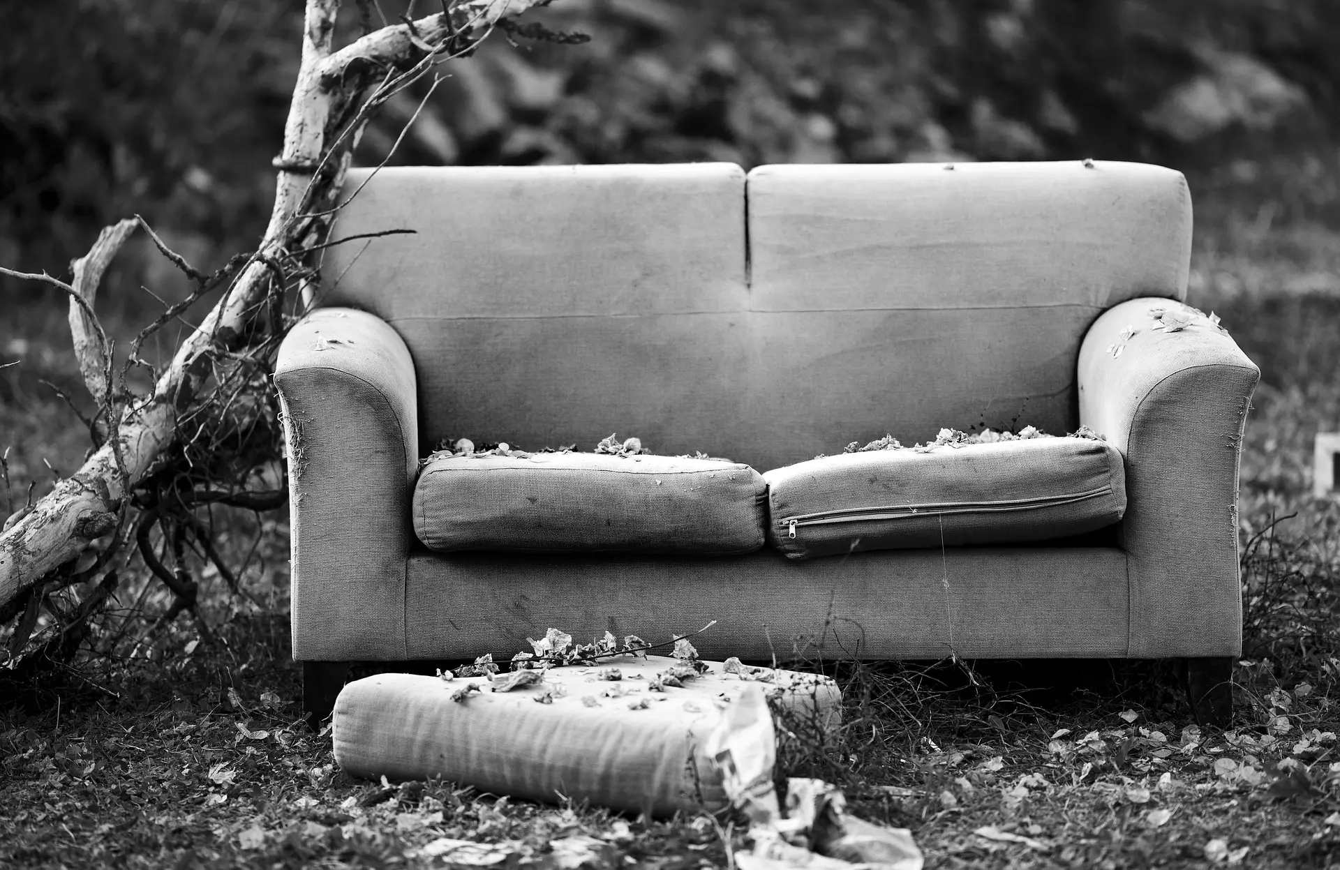 O que fazer com seu sofá antigo? - eCycle