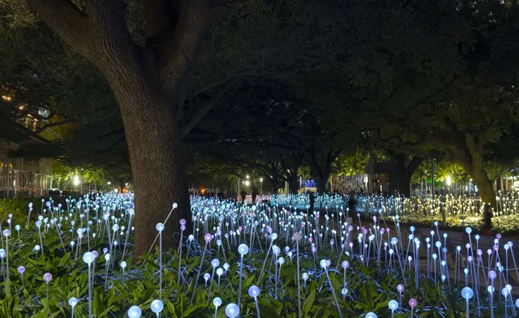 "Jardins luminosos", Discovery Green, Houston TX, USA 2014
