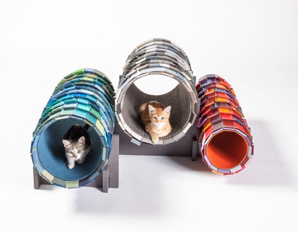 Casinhas e gatos