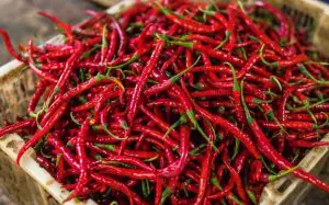 como-acelerar-o-metabolismo