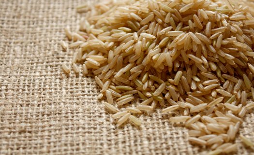 Alimentos ricos em fibras alimentos ricos em fibras