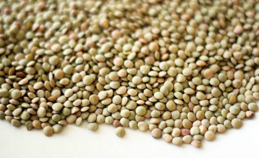Alimentos ricos em fibras Alimentos ricos em fibras