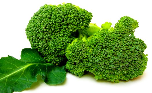 Alimentos ricos em fibras Alimentos ricos em fibras