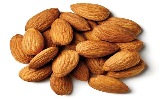 Alimentos ricos em fibras Alimentos ricos em fibras