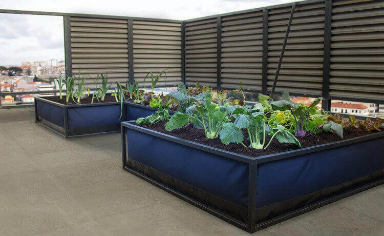 Growbed