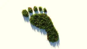 Pegada ambiental