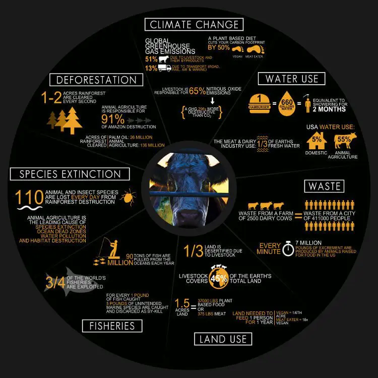 Cowspiracy