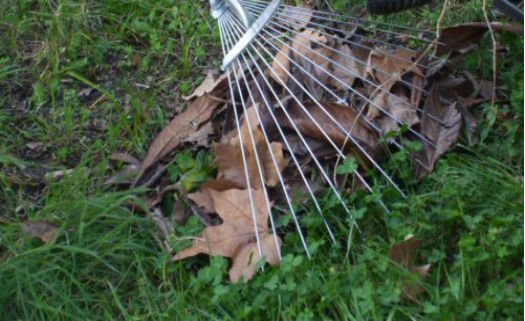 As folhas caídas do seu jardim são bons exemplos de material seco