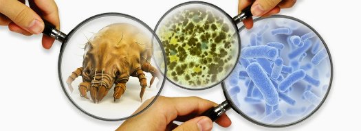 contaminação biológica