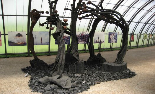 Obra de Frans Krajcberg