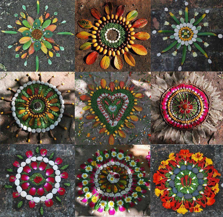 Mandalas de la naturaleza / Mandalas of Nature, Eva White
