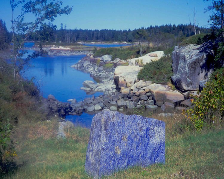 Aviva Rahmani, Blue Rocks
