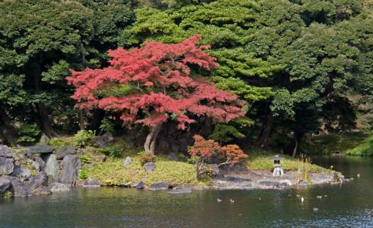 Koishikawa Korakuen Koishikawa Korakuen