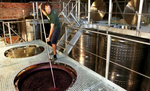 Produção vinho