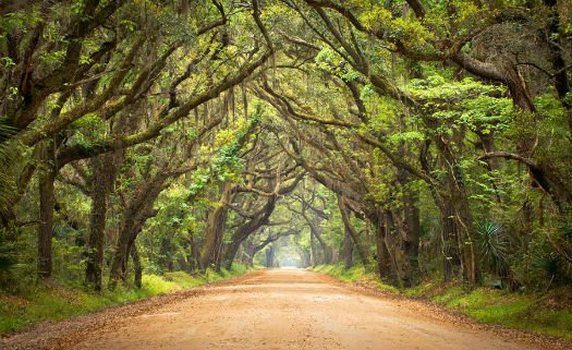 Botany Bay Plantation, Edisto Island, South Carolina, Estados Unidos