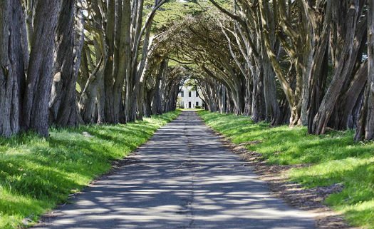 Point Reyes National Seashore, California, Estados Unidos