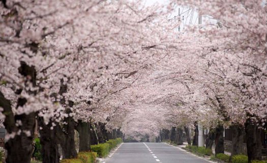 Nagatoro, Saitama, Japão