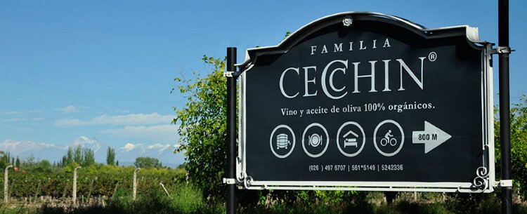 familia cecchin