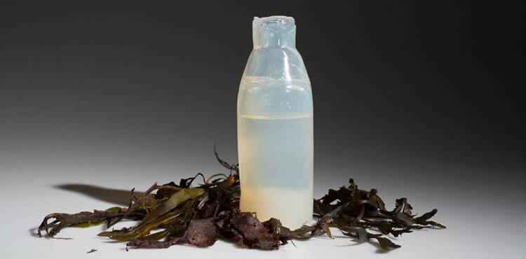 Garrafa de água biodegradável feita com espécie de gelatina