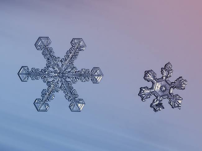 Flocos de neve