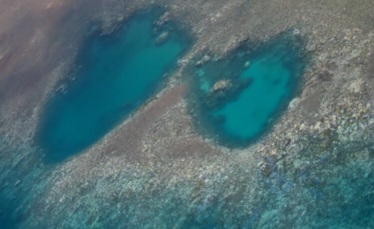 Foto aérea de área de coral