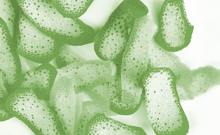 Alimentação para candidíase candidiase tratamento alimentação
