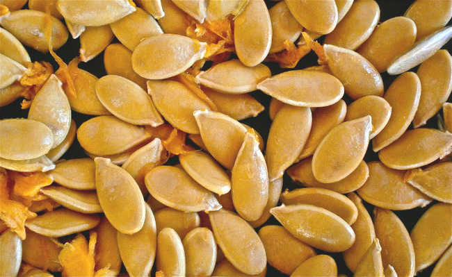 Alimentação para candidíase candidiase tratamento alimentação