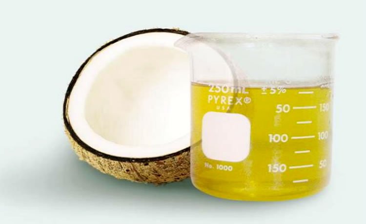 Alimentação para candidíase alimentacao candidiase