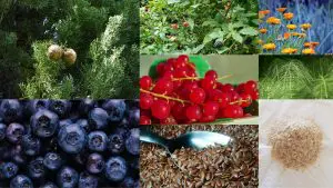 Hemorroida: remédio caseiro