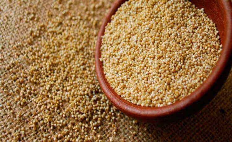 emagrecer com saude quinoa