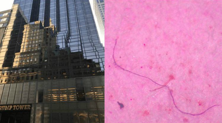 Microplásticos Trump Tower