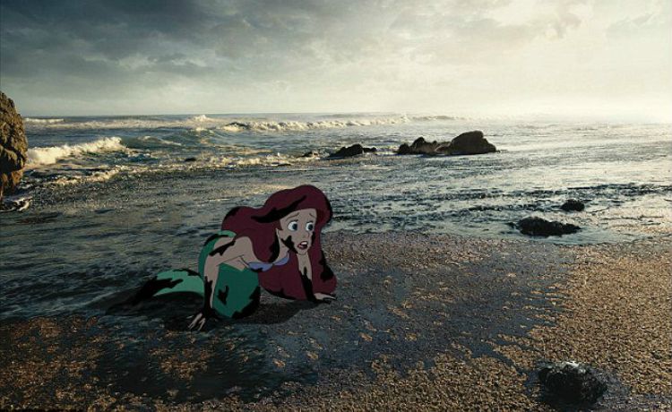 Imagens de Sustentabilidade