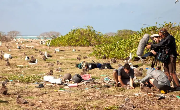 ilha de plastico oceano pacifico