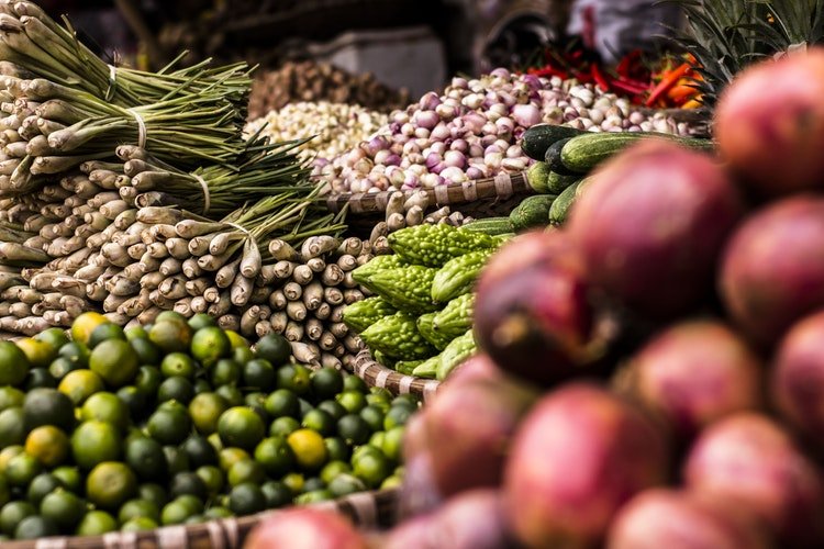 O que é agroecologia? Agroecologia