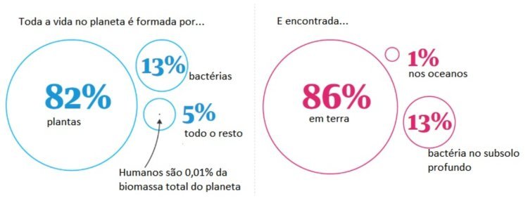 Porcentagens de biomassa